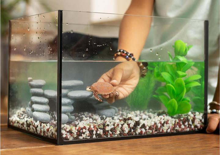 Image du produit Schleich Echte Karettschildkröte
