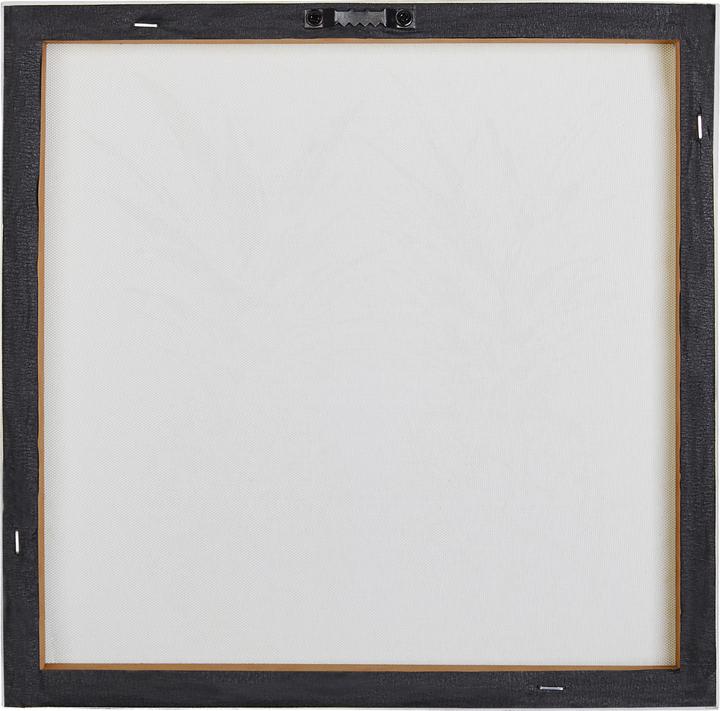 Immagine prodotto Beliani Quadro su tela rosa/oro motivo ananas set di 3 30 x 30 cm APESIKA (30 x 30 cm)