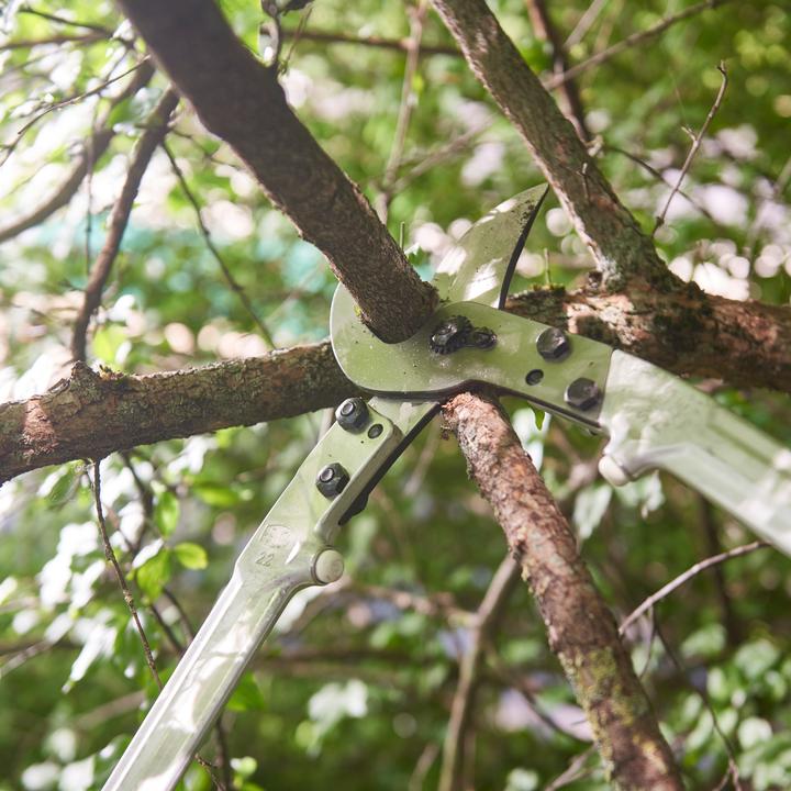 Produktbild Felco 22 Bypass Astschere