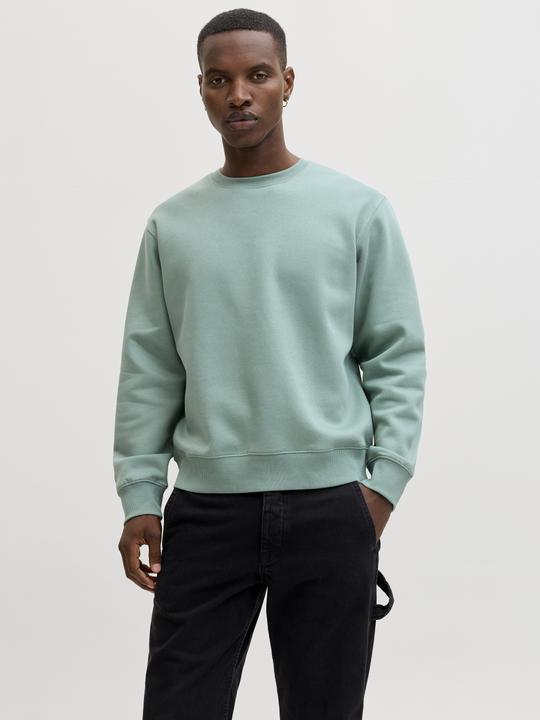Actual product image Jack & Jones Jjestar Basic Sweat Crew Neck Noos (M)