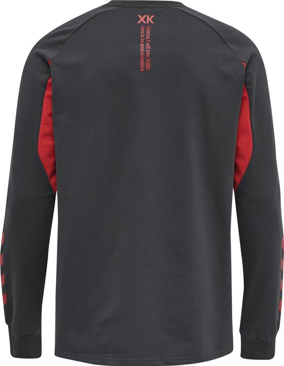 Produktbild hummel Action Cotton Sweatshirt (S)