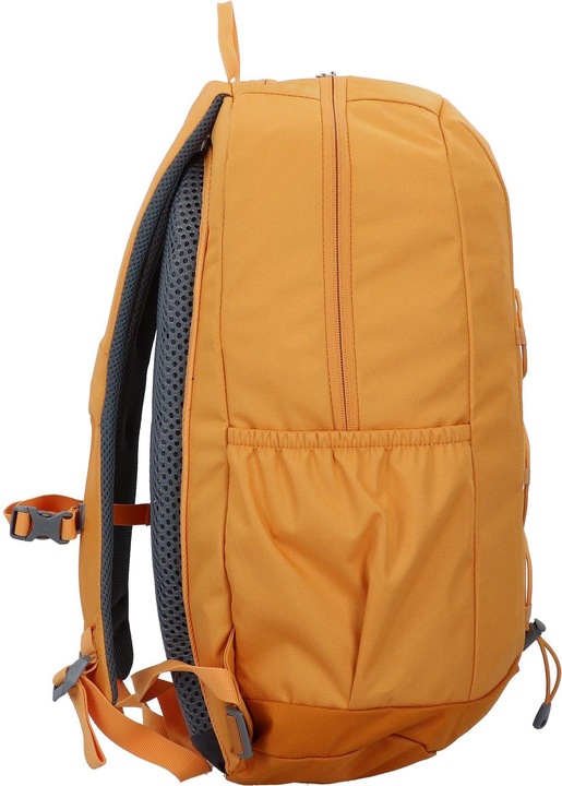 Produktbild Deuter Gogo (25 l)