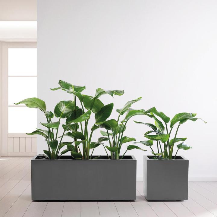 Produktbild Euro3plast Greener Kebe (99.50 cm)