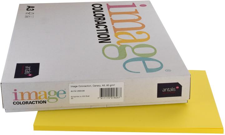 Image du produit Image Papier à copier Canary A3 (A3, 250 feuilles, 160 g/m²)