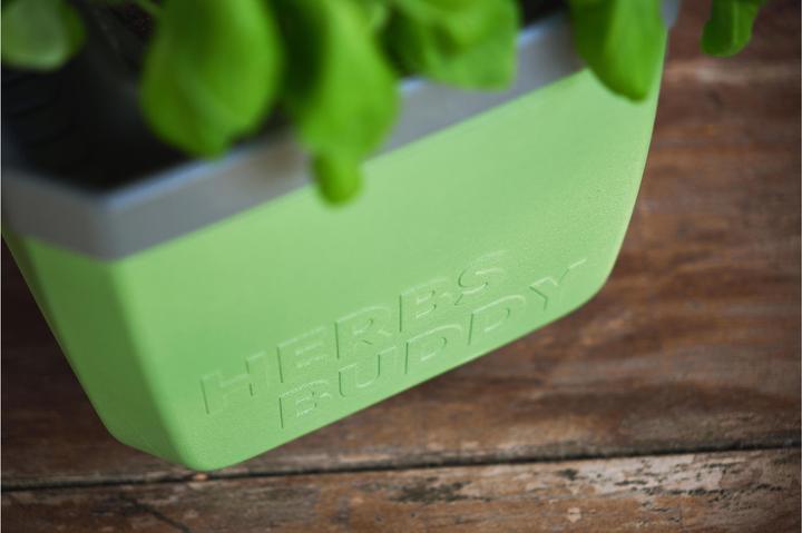 Actual product image Gusta Garden HERBS BUDDY Kräutertopf 3er Set Grün (49 x 15 x 14.50 cm)