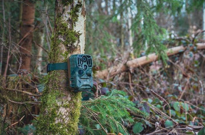 Produktbild Braun Photo Scouting Cam Black800