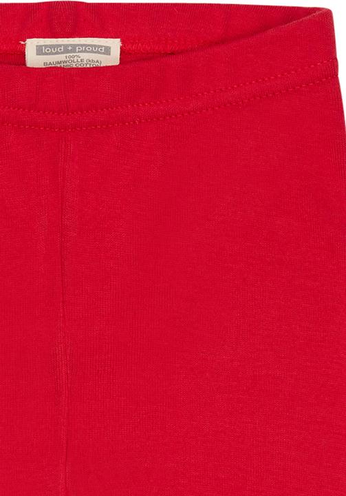 Image du produit loud + proud Legging (68)