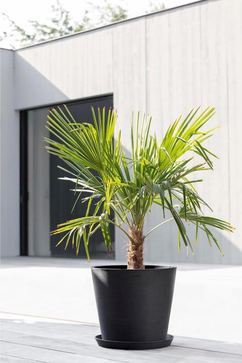 Produktbild Ecopots Amsterdam (40 cm)