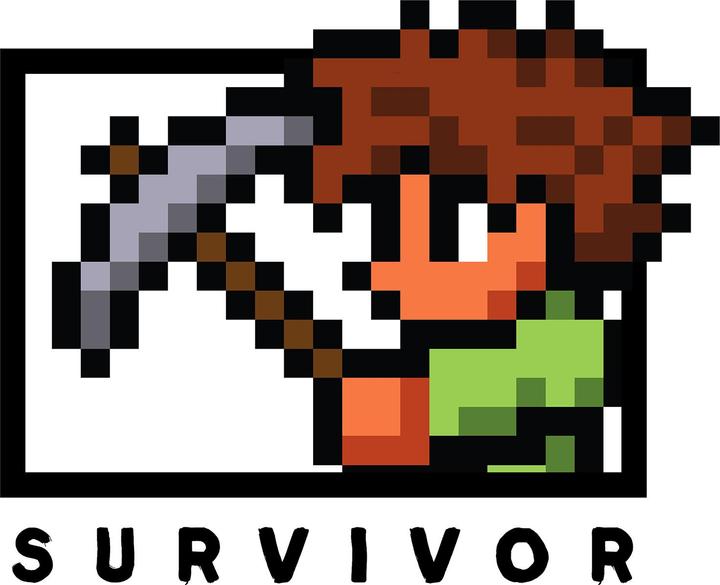 Immagine prodotto Terraria Felpa Survivor (L)