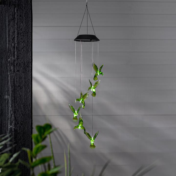 Immagine prodotto Star Trading Colibrì