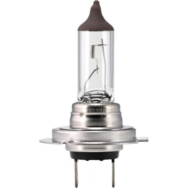Scharnberger+Hasenbein, Illuminazione auto, Lampada alogena H7 per auto (H7)