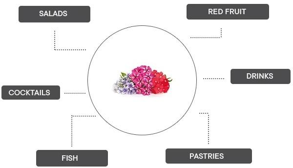Produktbild Véritable Lingot Stiefmütterchen BIO (Kräutersamen)