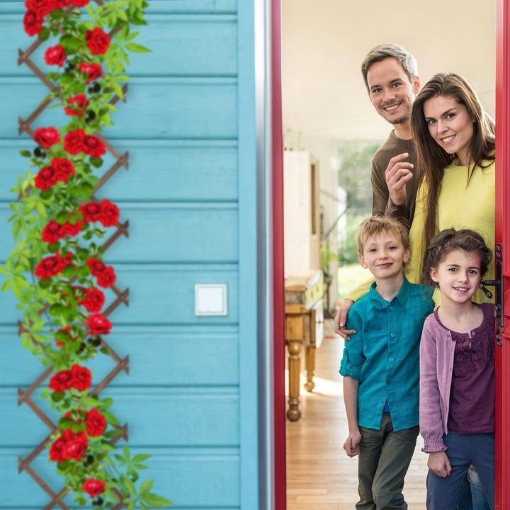 Immagine prodotto Relaxdays 3x Rankgitter (1.50 cm, 30 cm)