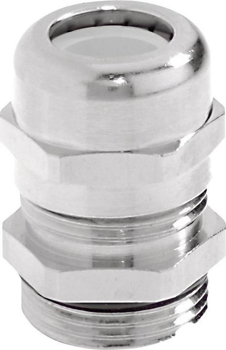 Actual product image Lapp Cable gland PG13.5 Measurement