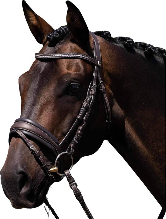 Produktbild Premier Equine Veneto