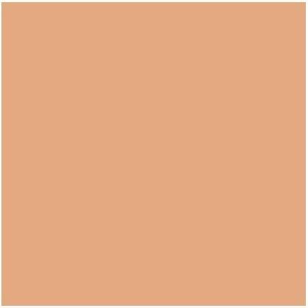 Actual product image MAC Cosmetics Studio Fix 24-Hour Smooth Wear Concealer (NC38)