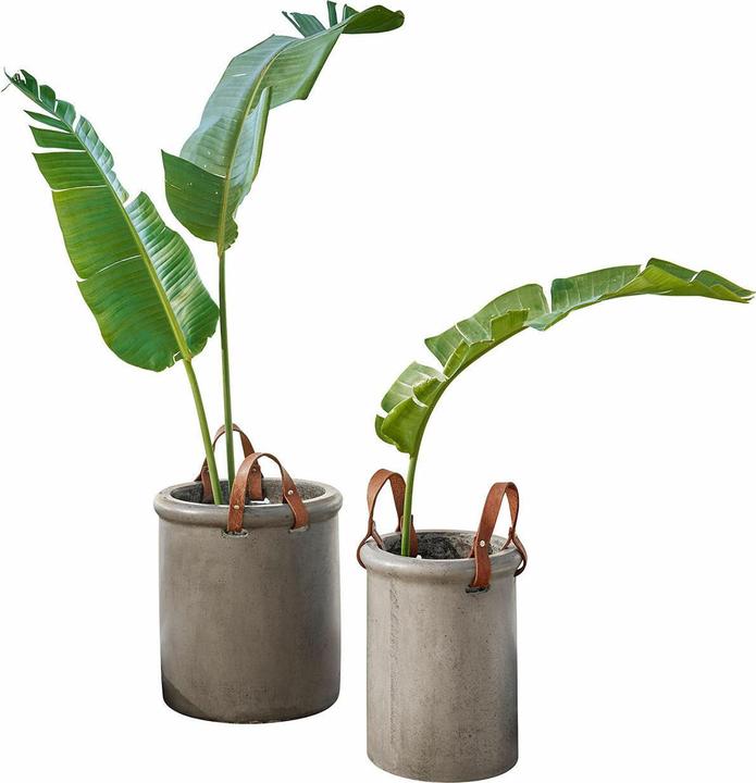Produktbild Loberon Übertopf 2er Set Tessonet grau (36 x 40 cm)