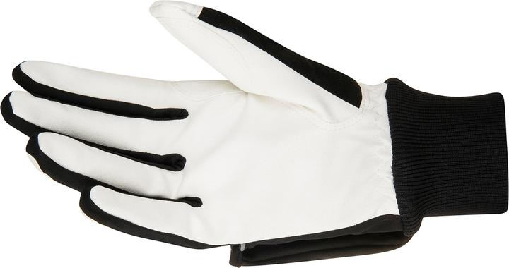 Actual product image Daehlie Glove Race Coverage (6)