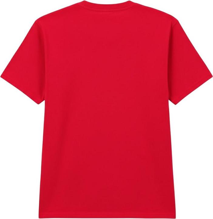 Produktbild Gildan Softstyle TShirt Mittelschwer Enzymgewaschen (M)