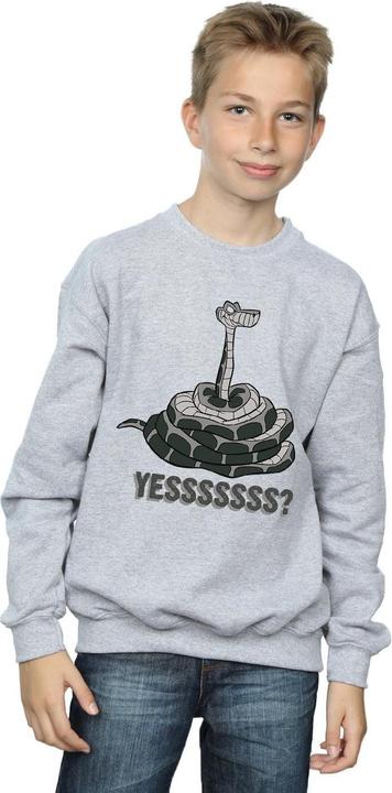 Actual product image Disney Boys The Jungle Book Kaa Yesssss Sweatshirt (116)