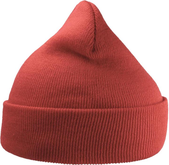 Actual product image Unisex Adult Wind Recycled Cuffed Beanie