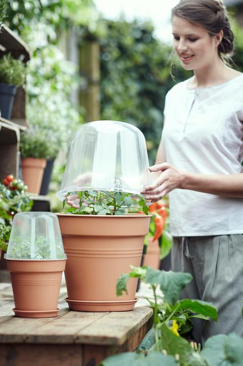 Produktbild Elho Anzuchthaus