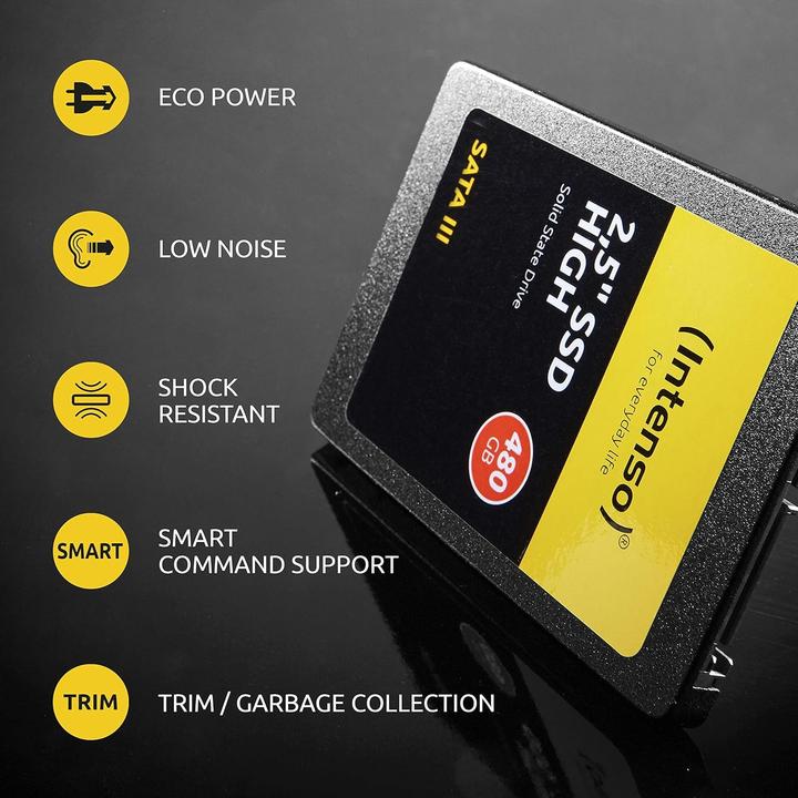 Image du produit Intenso haute performance (960 Go, 2.5")