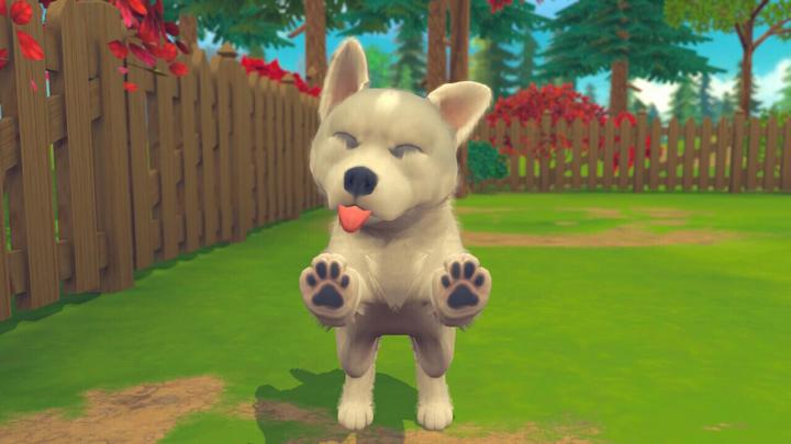 Image du produit Maximum Games My Universe - Chiens et chatons (Switch, IT)