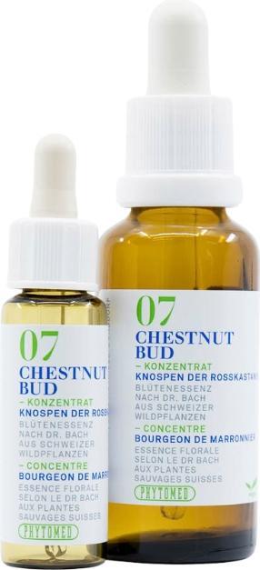 Actual product image Phytomed Bachblüten No7 Knospen der Rosskastanie (1 Piece, Droplet, 24 g)