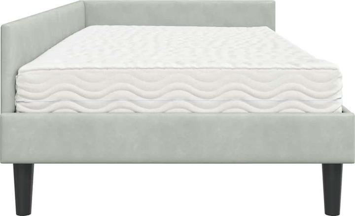 Image du produit vidaXL Samtbett (100 x 200 cm)