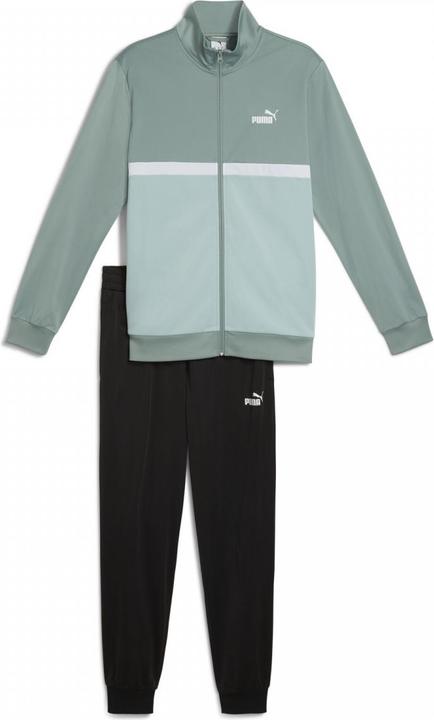 Actual product image Puma Poly Colorblock Suit (M)