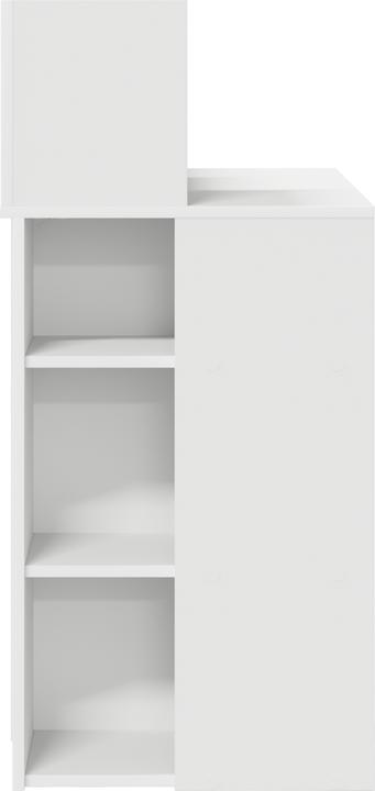 Image du produit vidaXL Schreibtisch (48 x 48 x 101.50 cm)