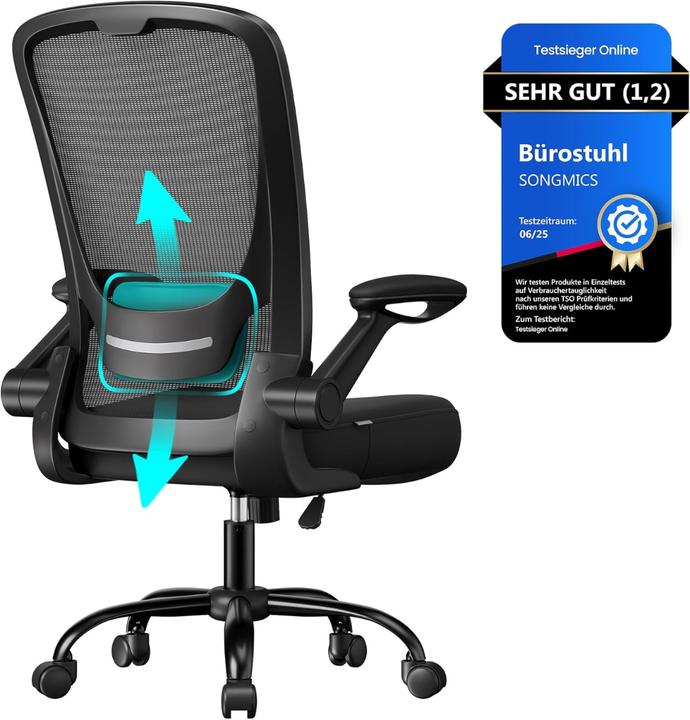 Actual product image Songmics Home Office