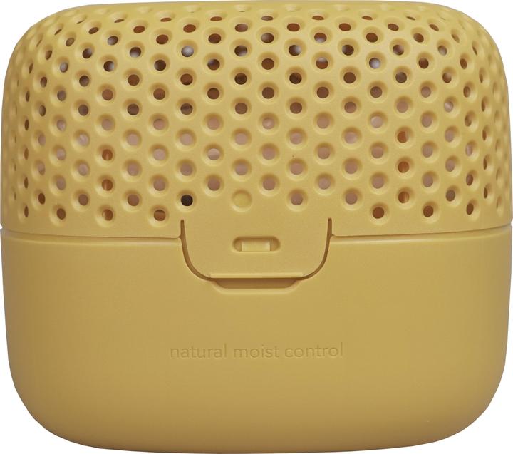 Actual product image Absodry Luftentfeuchter (12 m²)