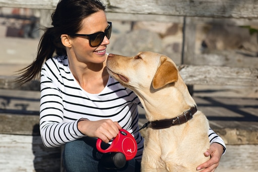 Immagine prodotto Flexi Nuova cintura classica (S, Cane, Passeggiare)