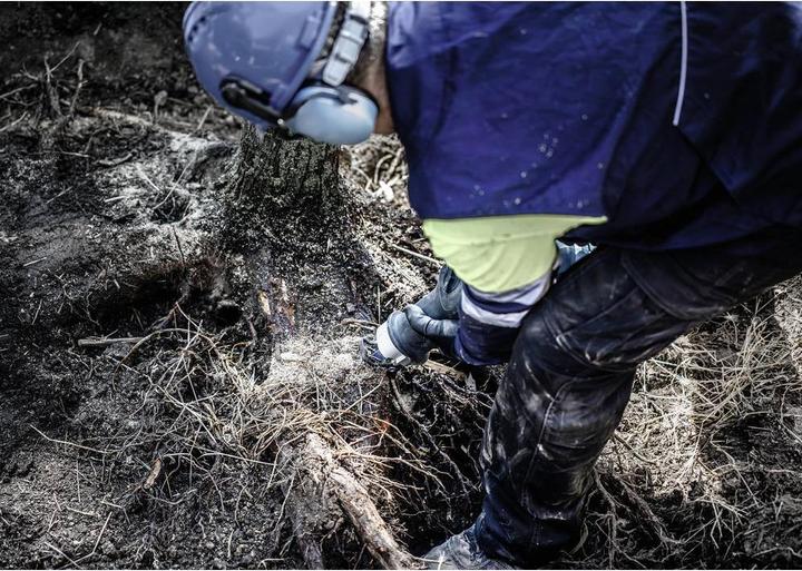 Actual product image Bosch Professional Zubehör EXPERT 'Tough Wood' S 1142 KHM reciprocating saw blade, 10 pieces