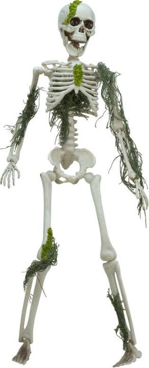 Europalms Halloween Skelett mit Moos, 40cm