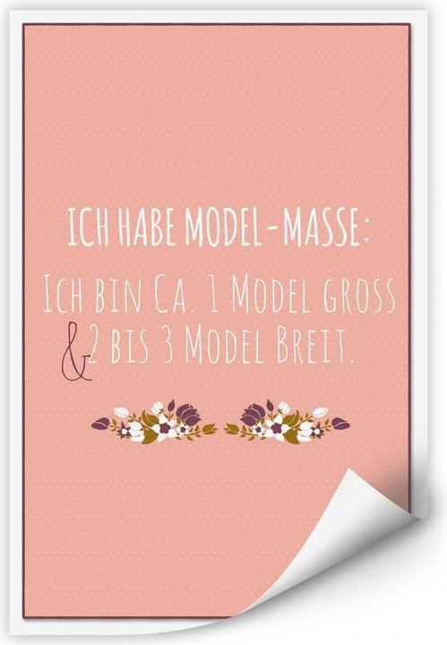 Immagine prodotto Trenddeko Ho la massa del modello..... (30 x 45 cm)