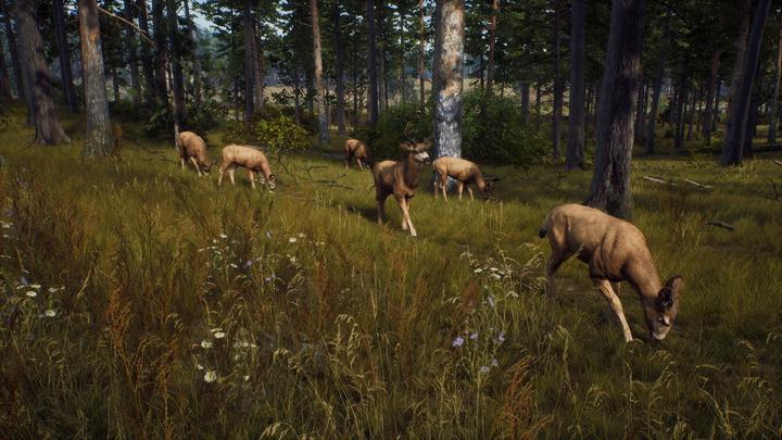 Immagine prodotto THQ Via del cacciatore (PS5, IT, FR, EN)