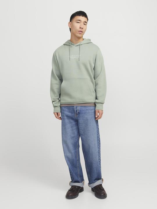 Produktbild Jack & Jones Jprbluarchie Sweat Hood Noos (XL)