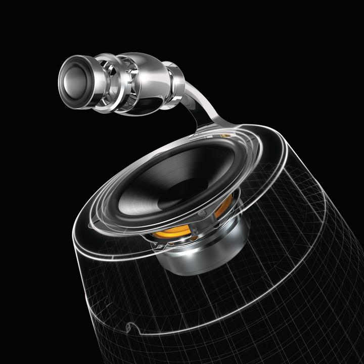 Actual product image Philips Fidelio DS9800W (Electrical connection)