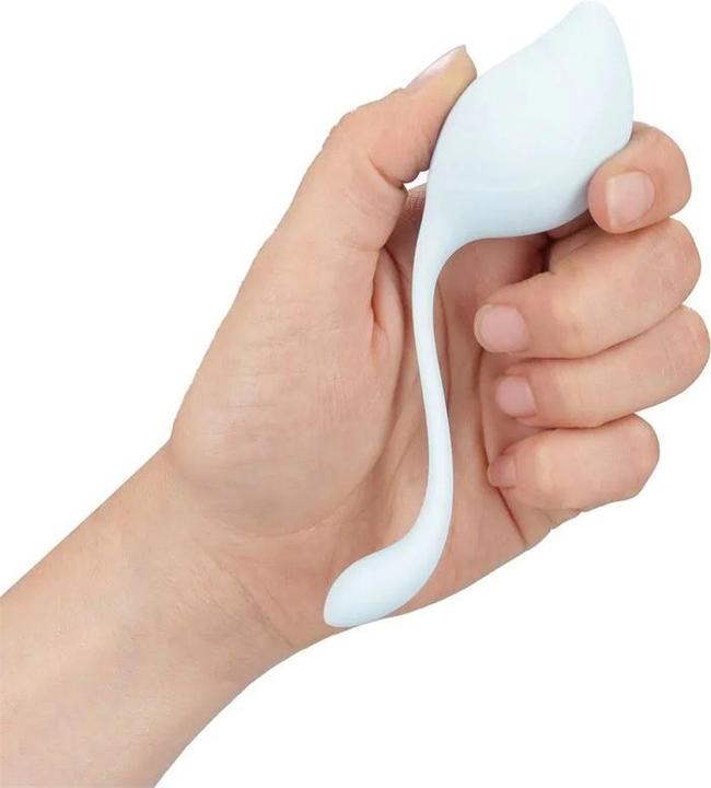 Immagine prodotto Loveline Pelvic Stem Kegel Kit - Multicolor (40 g, 50 g, 60 g, 80 G)