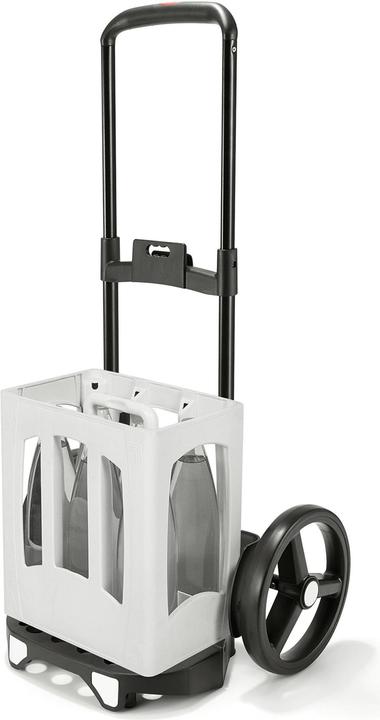 Productafbeelding reisenthel Citycruiser frame