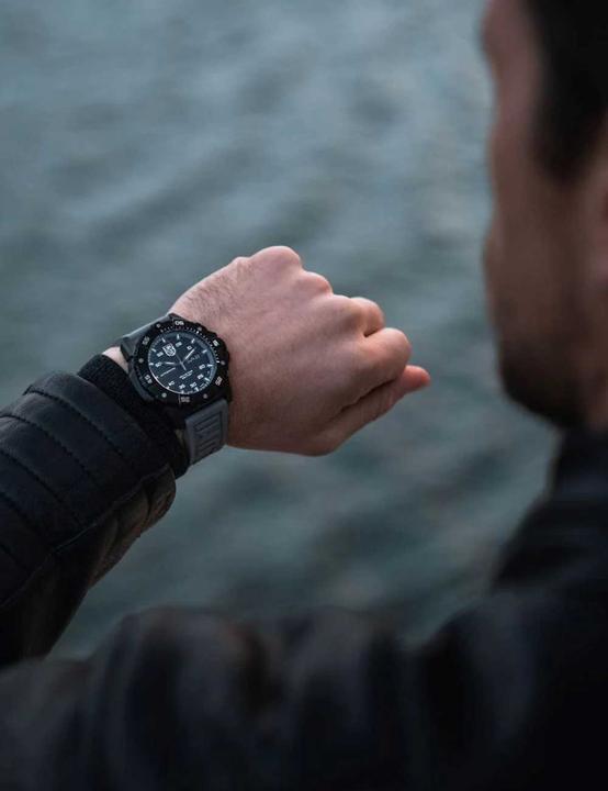 Immagine prodotto Luminox Master Carbon Seal (Orologio sub, 45 mm)