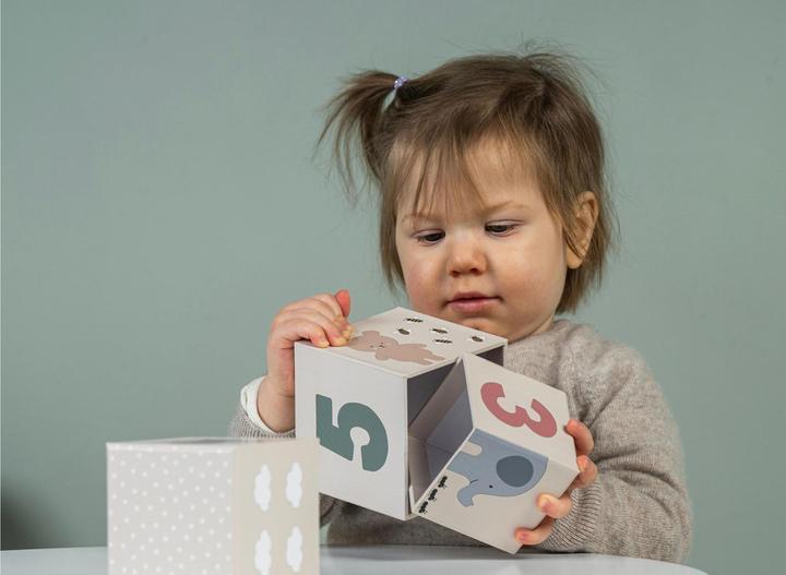 Actual product image Jabadabado Game and learning box