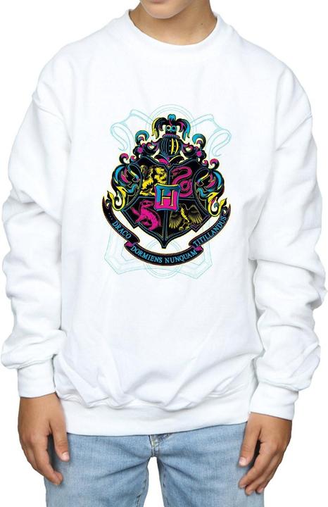 Produktbild Neon Hogwarts Crest Sweatshirt Jungen (140, 146)