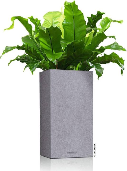 Image du produit Lechuza Colonne Canto Color (30 x 30 x 56 cm)