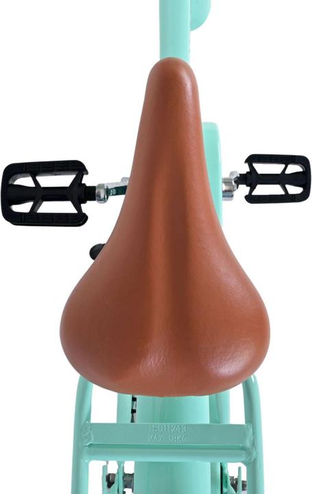 Actual product image Volare Excellent Kinderfiets - Meisjes - 20 inch - Groen (20")