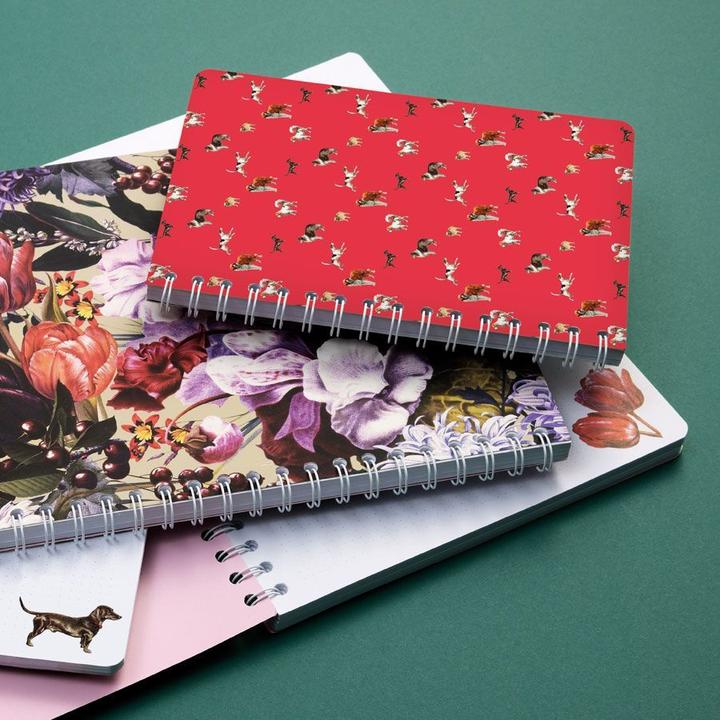 Immagine prodotto Cedon Raccoglitore ad anelli A5 BELLO (A5, Quadretti)