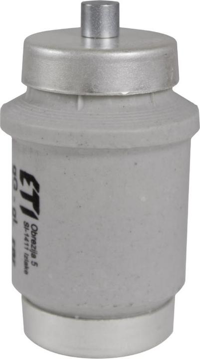 Image du produit Eti Fusible Polam 100A DIV gG 500V E40 (002314402) (100 A)